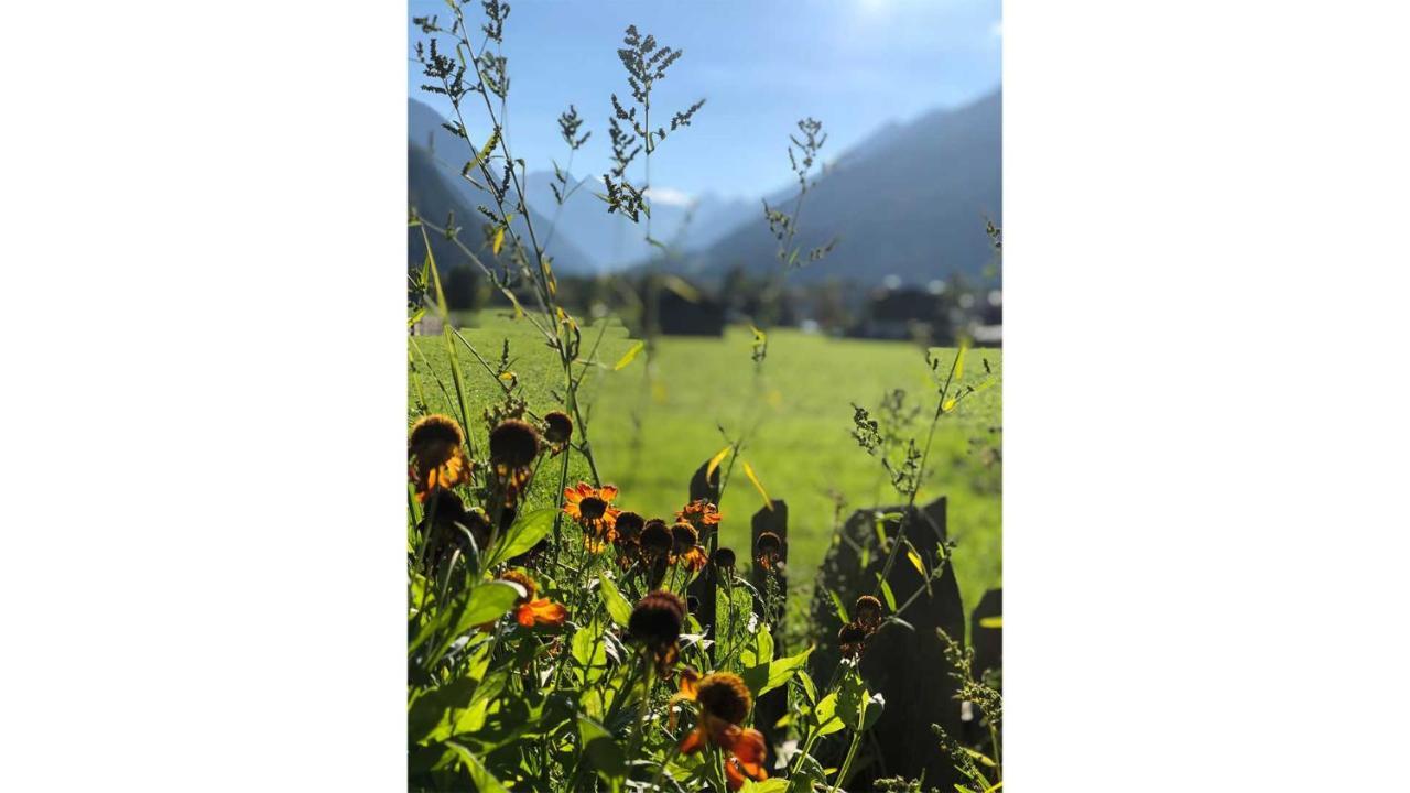 Gastehaus Haus Barbara Appartement Neustift im Stubaital Buitenkant foto